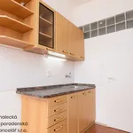 Rent 1 bedroom apartment of 28 m² in Moravská Třebová