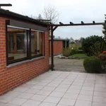 Rent 3 bedroom house of 142 m² in Bekegem