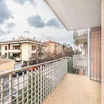 Rent 1 bedroom apartment in Bologna