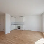 Miete 2 Schlafzimmer wohnung von 54 m² in Vienna