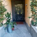 Rent 2 bedroom apartment of 50 m² in Varese