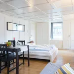 Miete 1 Schlafzimmer wohnung von 344 m² in Zug