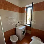 Rent 2 bedroom apartment of 45 m² in Cassino