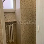 Rent 1 bedroom apartment of 35 m² in Pavia