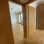 Pronajměte si 3 ložnic/e byt o rozloze 66 m² v Praha