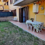 Rent 2 bedroom apartment of 50 m² in Spoltore