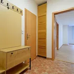 Rent 2 bedroom apartment in Prague