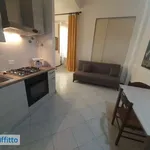 Rent 2 bedroom apartment of 60 m² in Bologna