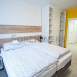 Rent 1 bedroom apartment of 35 m² in Brno