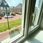 Rent 5 bedroom house of 150 m² in The Hague