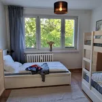 Rent 3 bedroom apartment of 59 m² in Greifswald