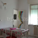 Rent 3 bedroom apartment of 110 m² in Livorno