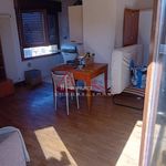 Rent 1 bedroom apartment of 40 m² in Pisa