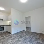 Rent 2 bedroom apartment in Ostrava