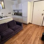 Rent 2 bedroom apartment of 60 m² in Turin