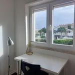 Rent 6 bedroom house in Lisbon