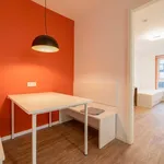 Rent 2 bedroom apartment in Berlin