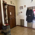 Rent 3 bedroom apartment of 125 m² in Roma