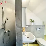 Rent 4 bedroom apartment of 75 m² in Praha