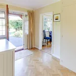 Rent 5 bedroom apartment in Guildford