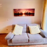 Rent 1 bedroom apartment of 55 m² in Alicante