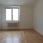 Rent 4 bedroom apartment in Brno