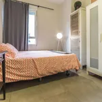 Rent 4 bedroom apartment in Valencia