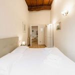 Rent 1 bedroom apartment of 50 m² in Firenze