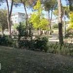 Rent 4 bedroom apartment of 80 m² in Pisa