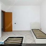 Rent 3 bedroom apartment of 80 m² in Bologna