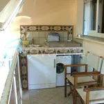 Rent 3 bedroom apartment of 64 m² in Carpi