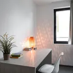 Rent 1 bedroom apartment in Tournai