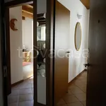 Rent 3 bedroom apartment of 55 m² in Pavia