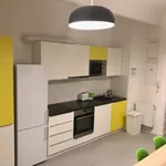 Rent 4 bedroom apartment in Prague