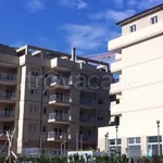 Rent 2 bedroom apartment of 55 m² in Cassino