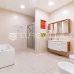 Rent 4 bedroom house of 440 m² in Zagreb