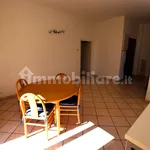 Rent 3 bedroom apartment of 100 m² in Imola