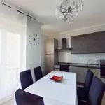 Rent 1 bedroom apartment of 55 m² in torino