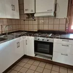 Rent 2 bedroom apartment of 60 m² in Roma