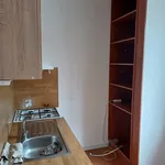 Rent 2 bedroom apartment in Děčín