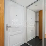 Rent 3 bedroom apartment in Capital City of Prague