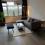 Rent 4 bedroom apartment of 80 m² in Den Haag