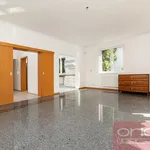 Rent 6 bedroom apartment of 250 m² in Prague