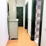 Rent 3 bedroom apartment of 75 m² in Milan