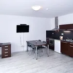 Rent 3 bedroom apartment of 121 m² in Brno