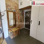 Rent 1 bedroom apartment of 50 m² in Capital City of Prague