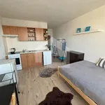 Rent 1 bedroom apartment of 1 m² in České Budějovice