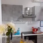 Rent 1 bedroom apartment of 40 m² in Turin