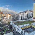 Rent 3 bedroom apartment in Prague