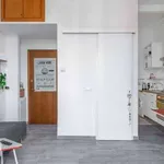 Rent 1 bedroom apartment of 50 m² in Milan